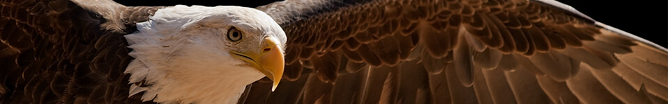 [Translate to Belgisch:] [Translate to English:] Seite wurde nicht gefunden